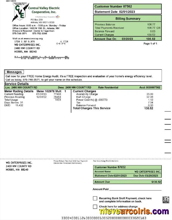 USA CENTRAL VALLEY ELECTRIC utility bill